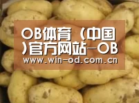 产品展示标题6