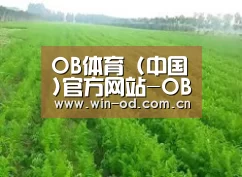 种植基地四