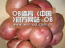 产品展示标题1